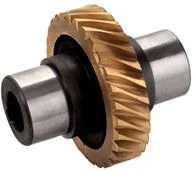 gear of worm unit