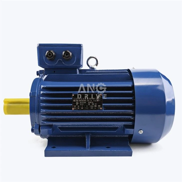 250KW Electric Motor