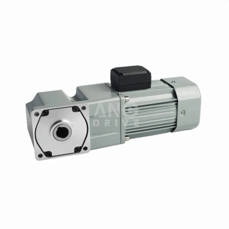 250w single phase Gear Motor