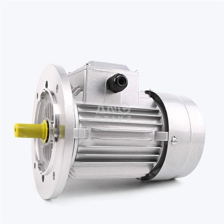 4HP elektrisk motor
