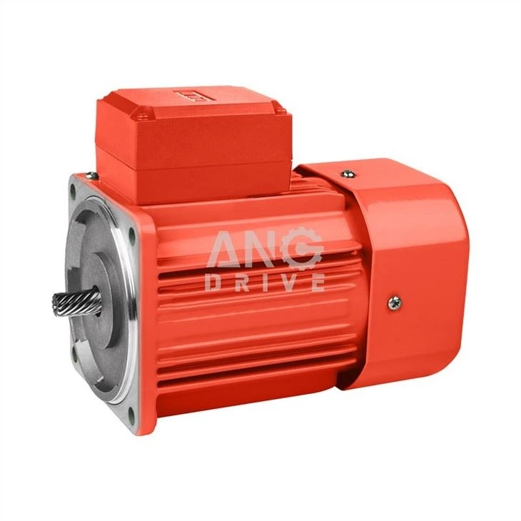 Small AC Motors