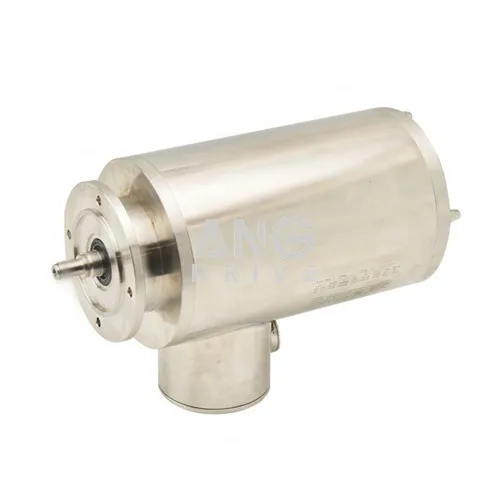 IP69K elektrisk motor