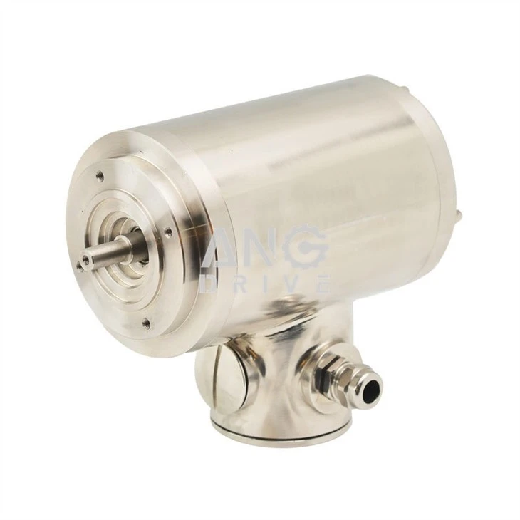 stainless steel motors